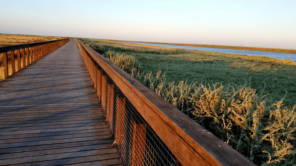 Passadiços do Tejo